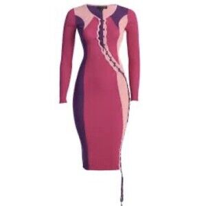 JLuxLabel Vira Lace-Up Bodycon Color-Blocked Stretchy Knit Dress (Small)